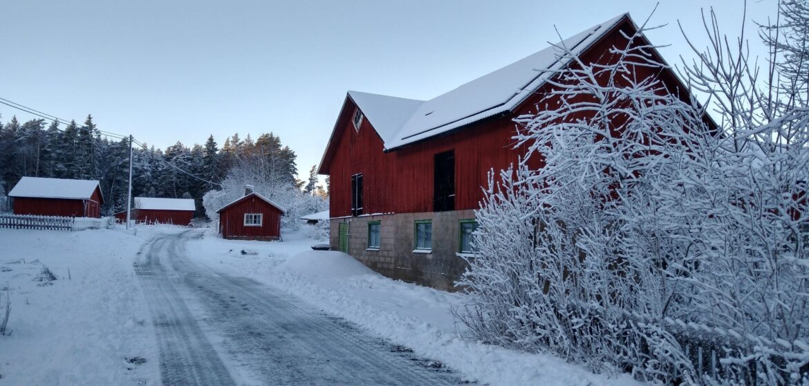 Första året med gården